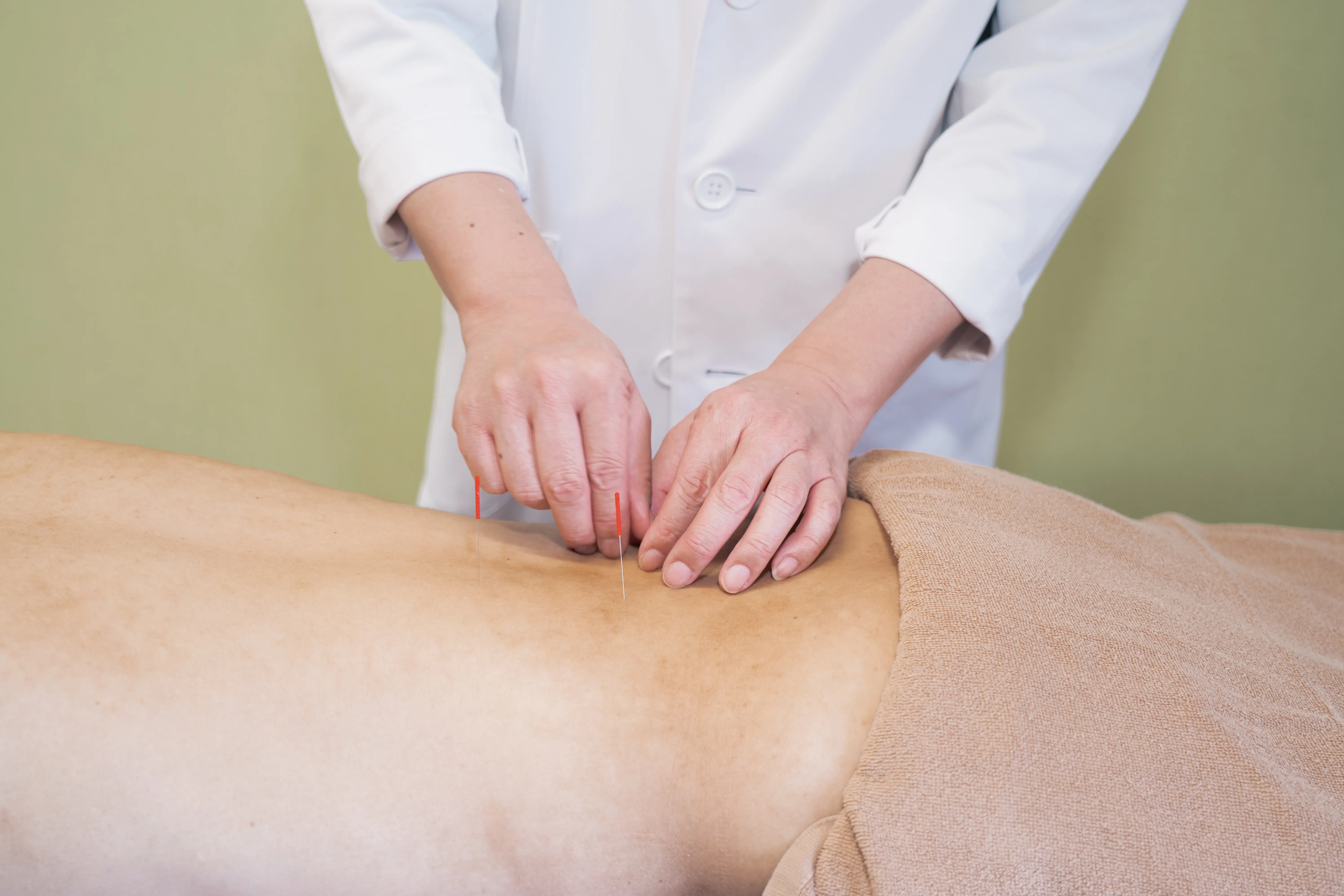 診療コース画像